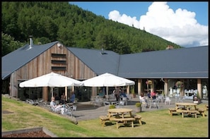 Enjoy meals in a charming outdoor setting surrounded by a lush forest.