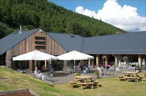 Enjoy al fresco dining in a serene setting surrounded by lush greenery and a forested hill.