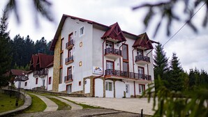 Exterior - Hotel Floare de Colt Bucovina (Manastirea Humorului)