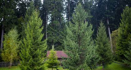 Hotel Floare de Colt Bucovina