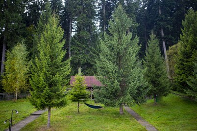 Hotel Floare de Colt Bucovina