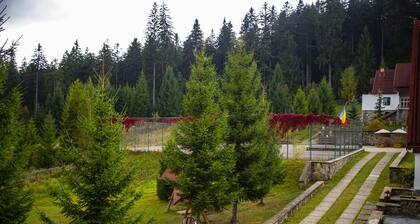 Hotel Floare de Colt Bucovina