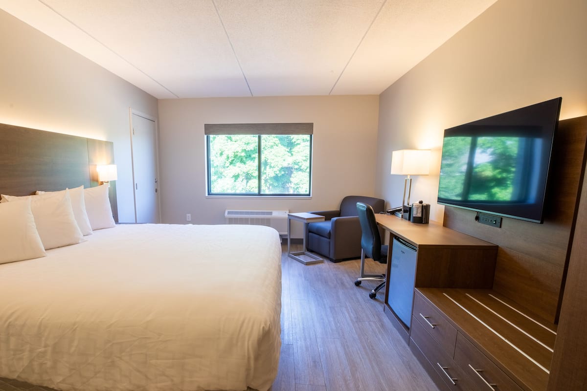 A hotel room with a large bed, a desk with a chair, a television, and a window with a view of trees.