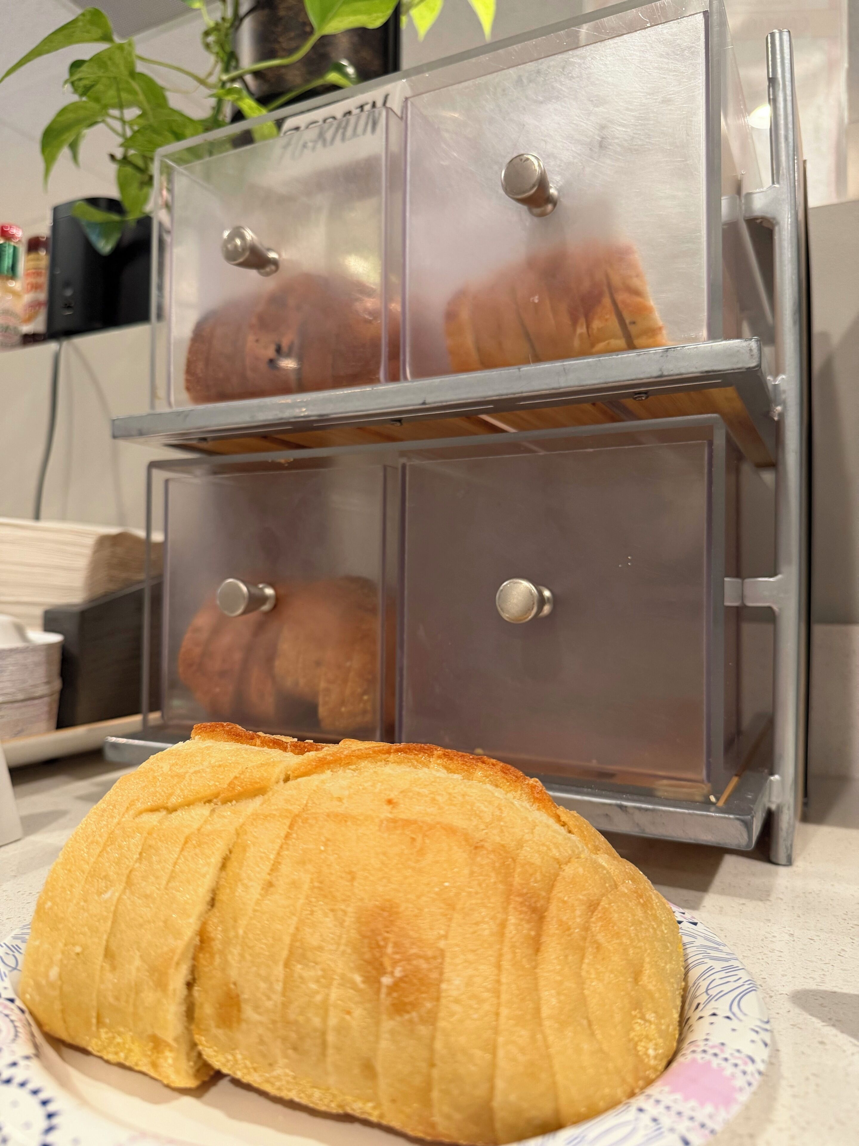 A bread loaf on a plate, a transparent bread box with a plant, and kitchen items in the background.