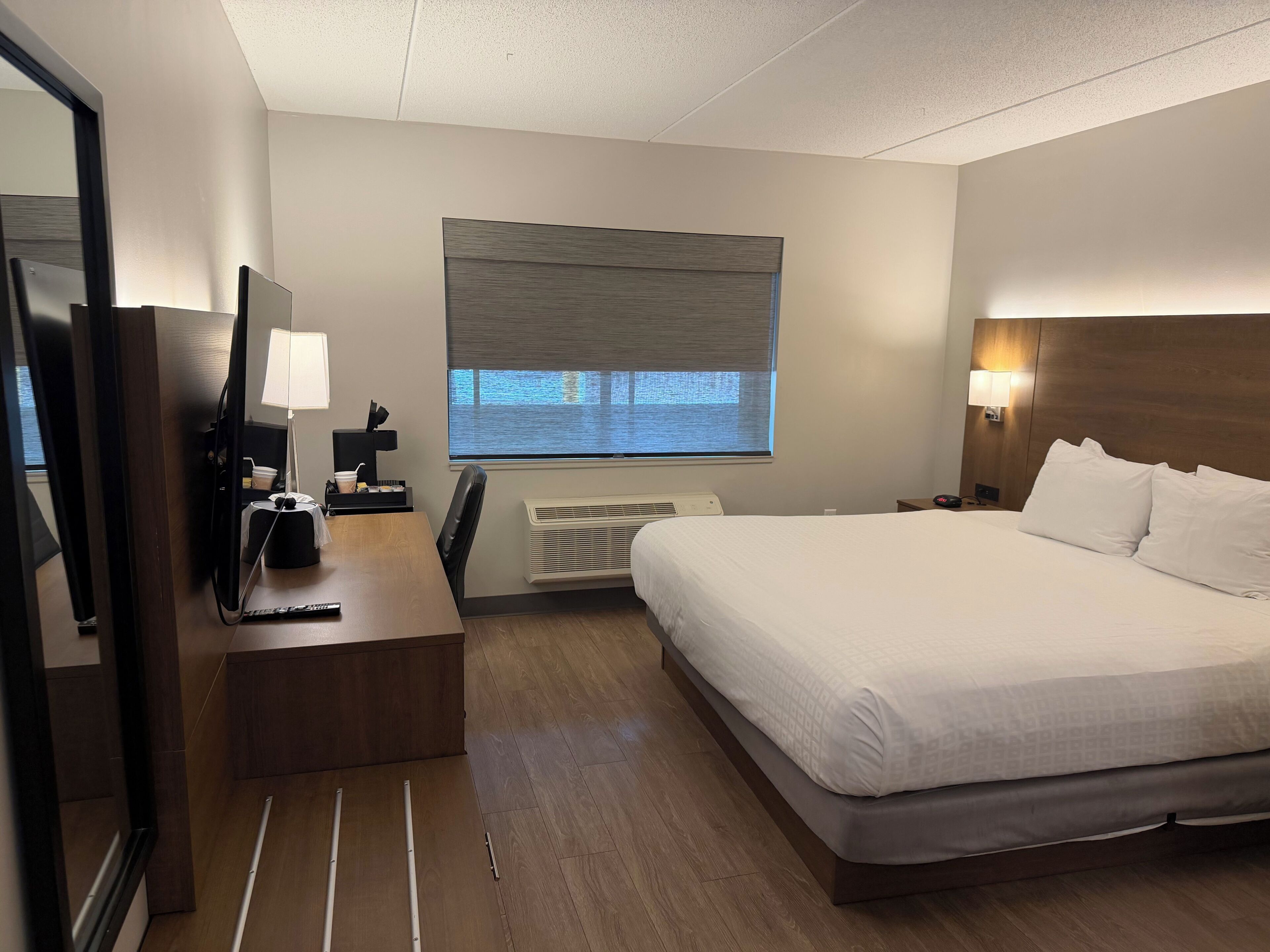 Family Single Room, 1 King Bed with Sofa bed, Non Smoking