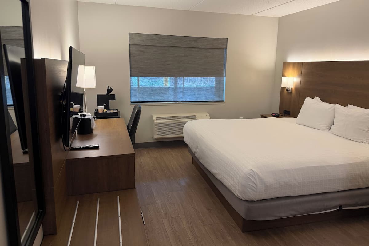 Family Single Room, 1 King Bed with Sofa bed, Non Smoking | Down comforters, desk, laptop workspace, blackout drapes