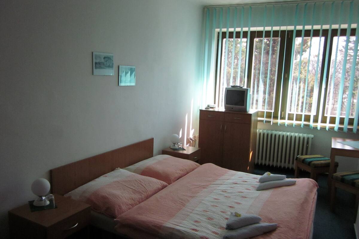 A bedroom with a bed, a nightstand, a dresser, a television on top of the dresser, and a window with blinds.