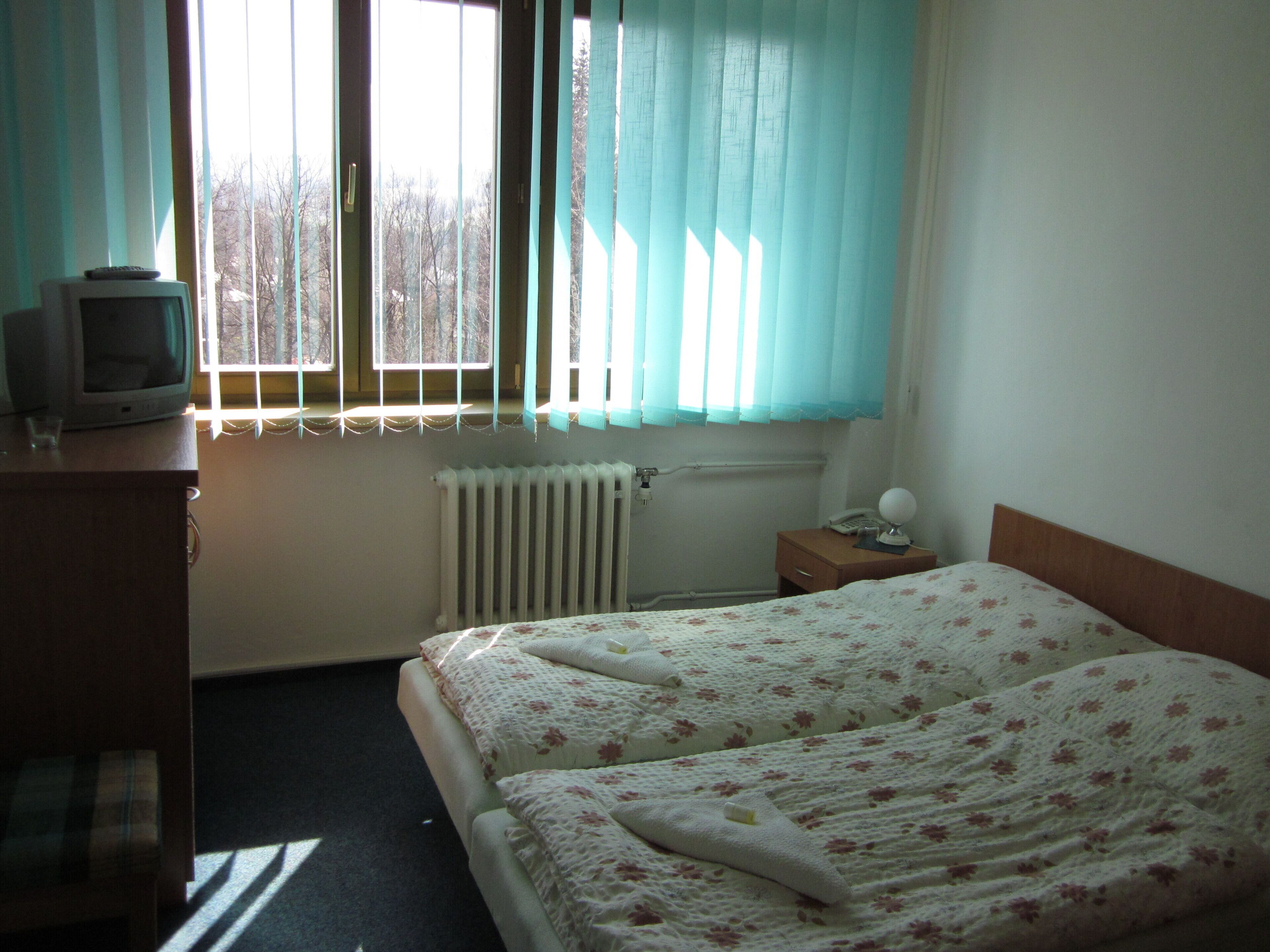 A bedroom with a bed, a dresser, a radiator, a window with curtains, and a television on the dresser.