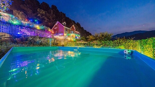 A swimming pool with a soccer ball, surrounded by a landscaped area with tropical plants and a mountain backdrop. - Sunny Hill Pension (Gapyeong)