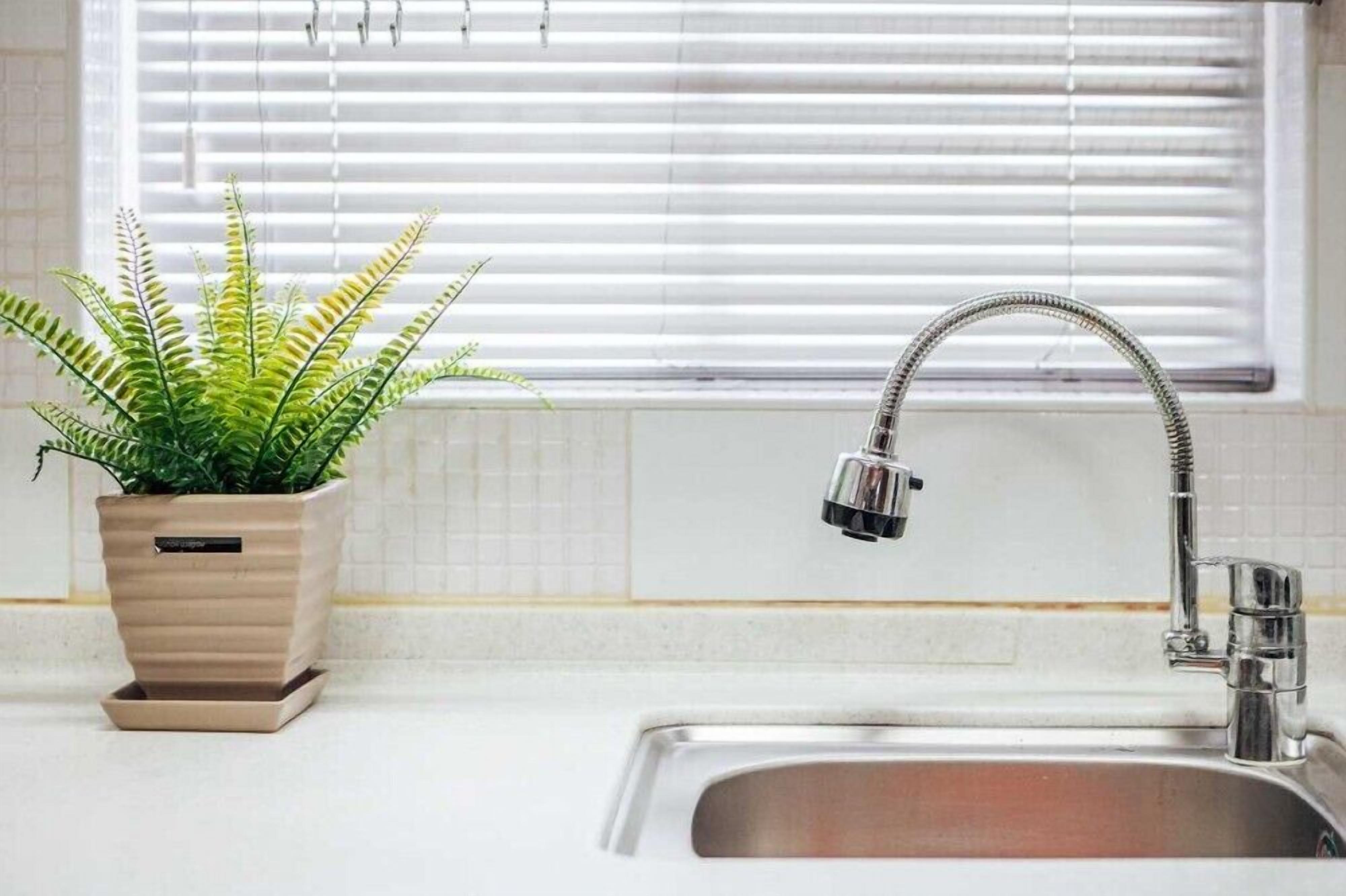 A kitchen with a stainless steel sink, a modern faucet, and a potted fern plant.