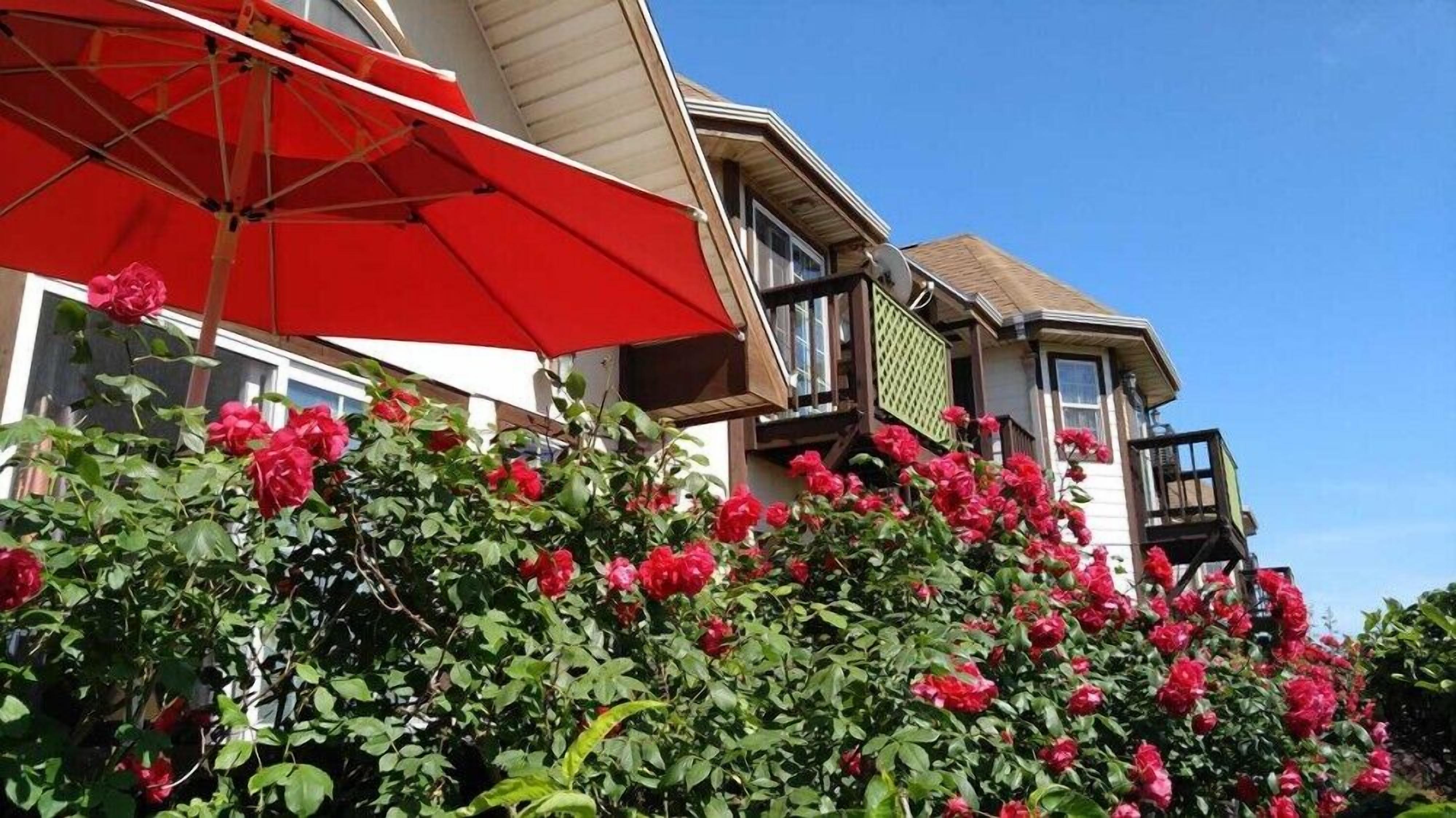 A house with a red umbrella, a balcony, and a garden with red flowers.
