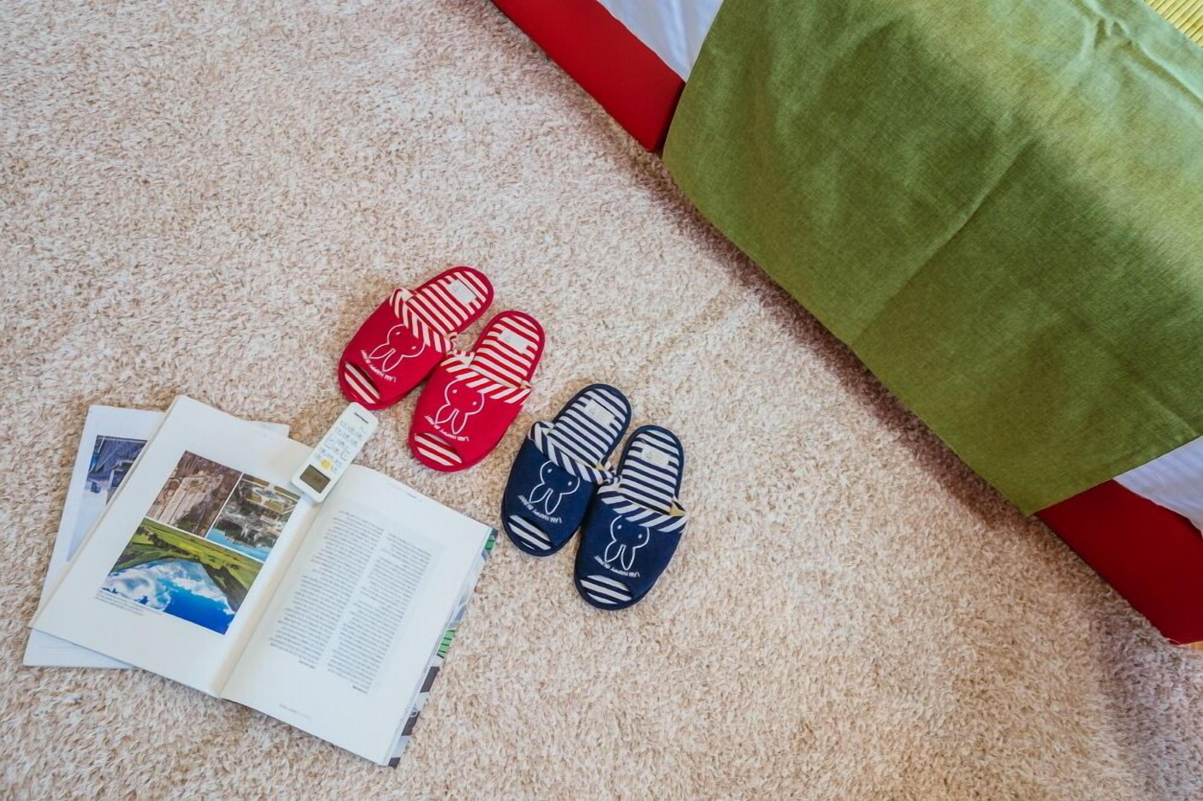 A book, two pairs of slippers, and a green pillow on a carpeted floor.