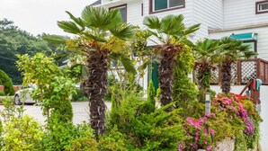 A white building with a green door, surrounded by lush greenery and flowering plants. - Mulbit Hanul (Geoje)