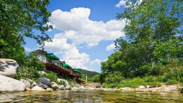 A riverside lodge with a wooden deck and a green roof, surrounded by lush greenery and a clear river. - Mulga Pension (Gapyeong)