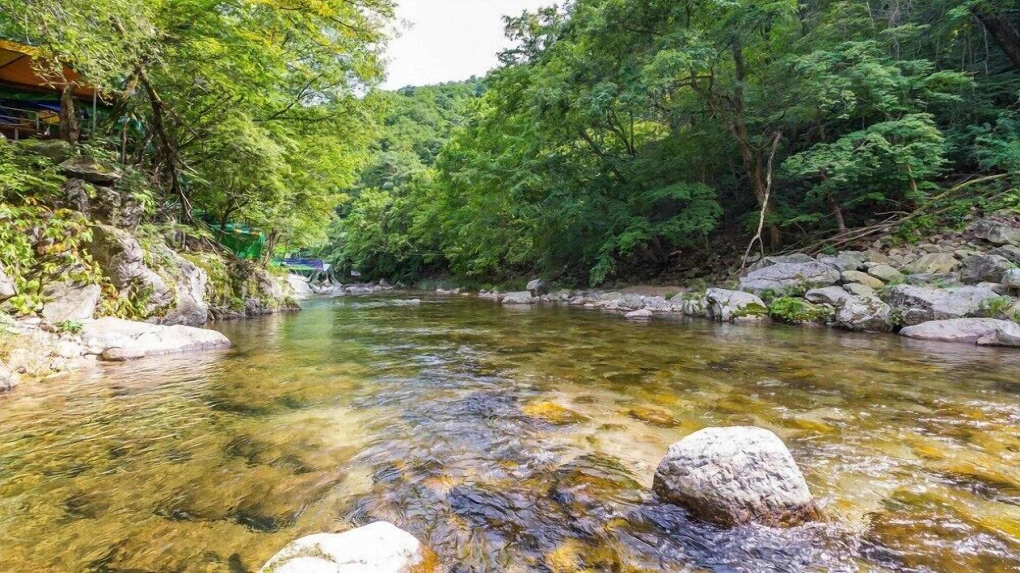 Un río transparente con rocas y árboles, un puente y un edificio al fondo.