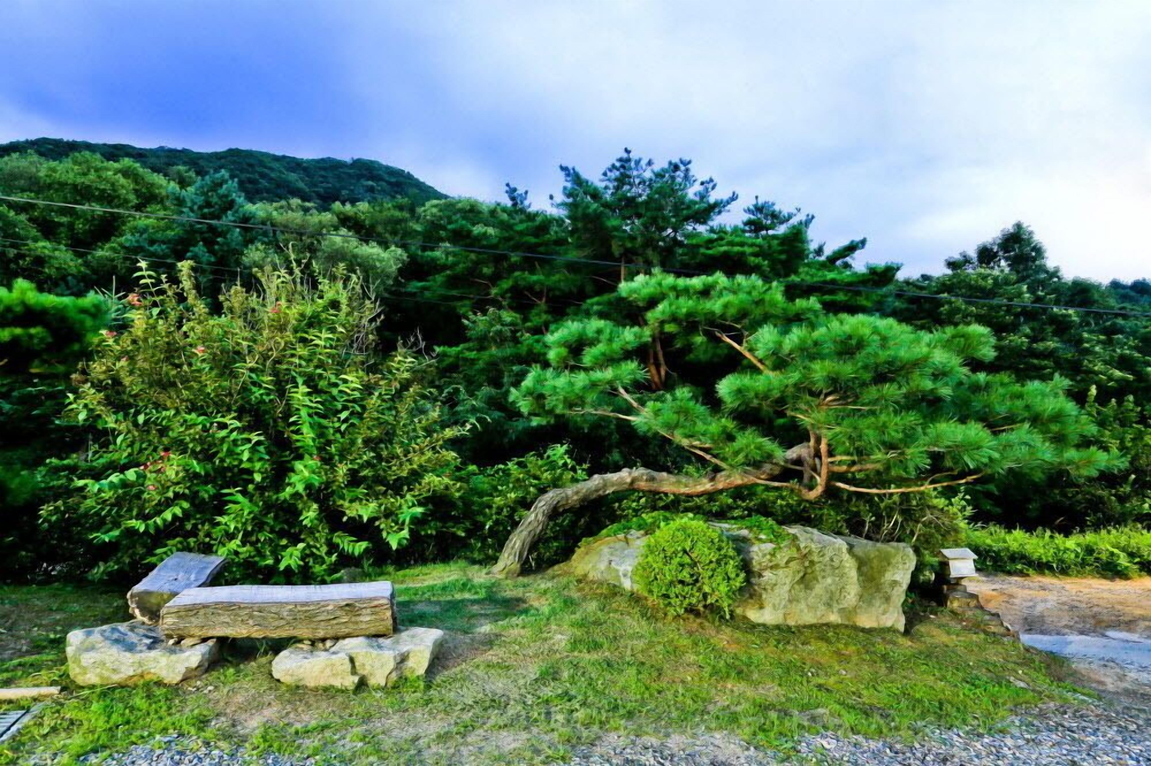 A serene outdoor setting with a wooden bench, a large rock, and lush greenery.