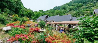 Valley Pension Luan
