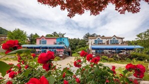 Unclassified image, 2 of 103, button - Dream Pension (Chuncheon)