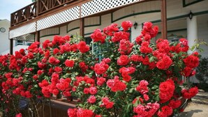 Exterior - Geoje White Pension (Geoje)