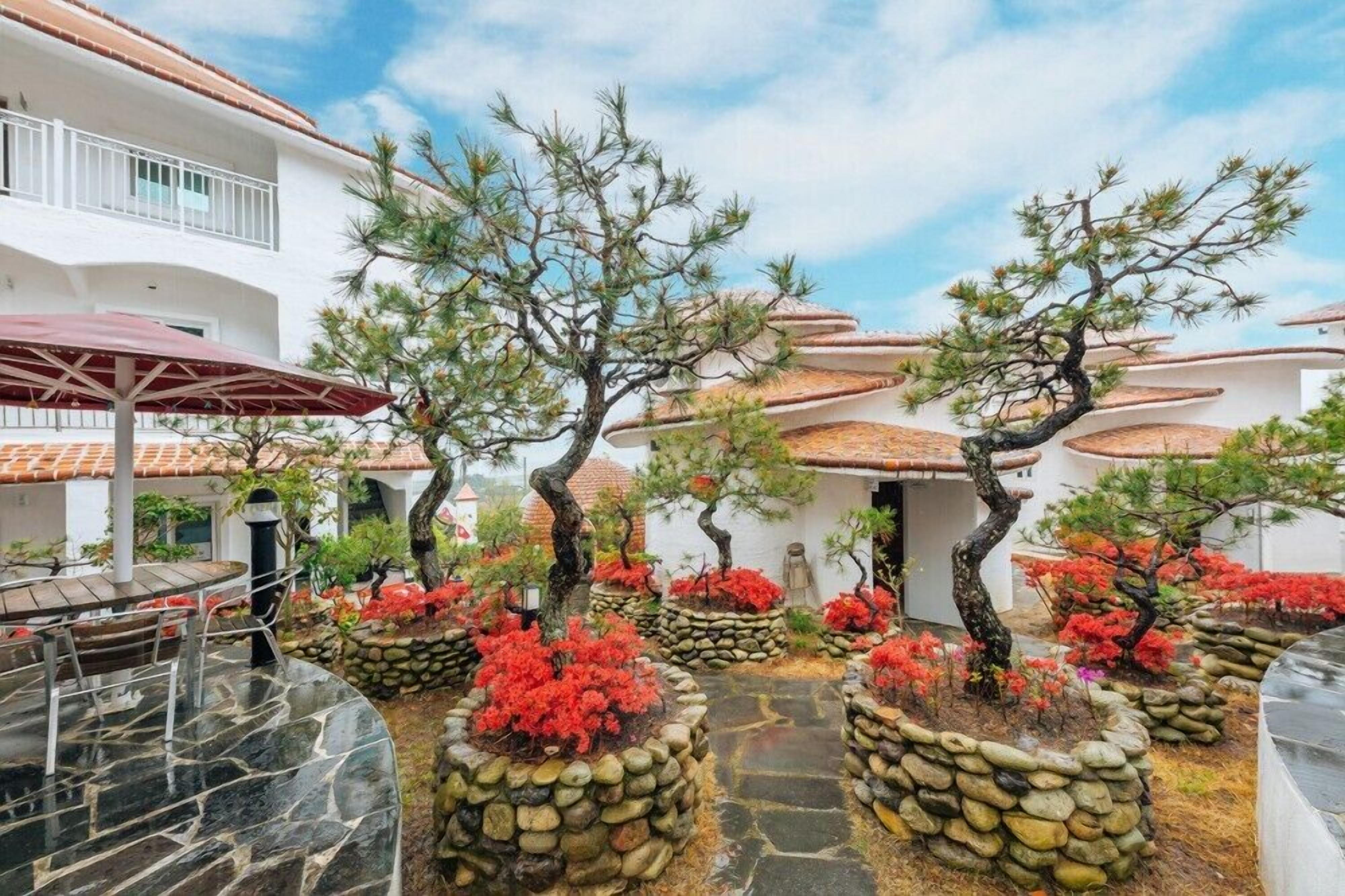 Un patio con bonsáis en macetas, un sendero de piedra y una zona de comedor con mobiliario de exterior.