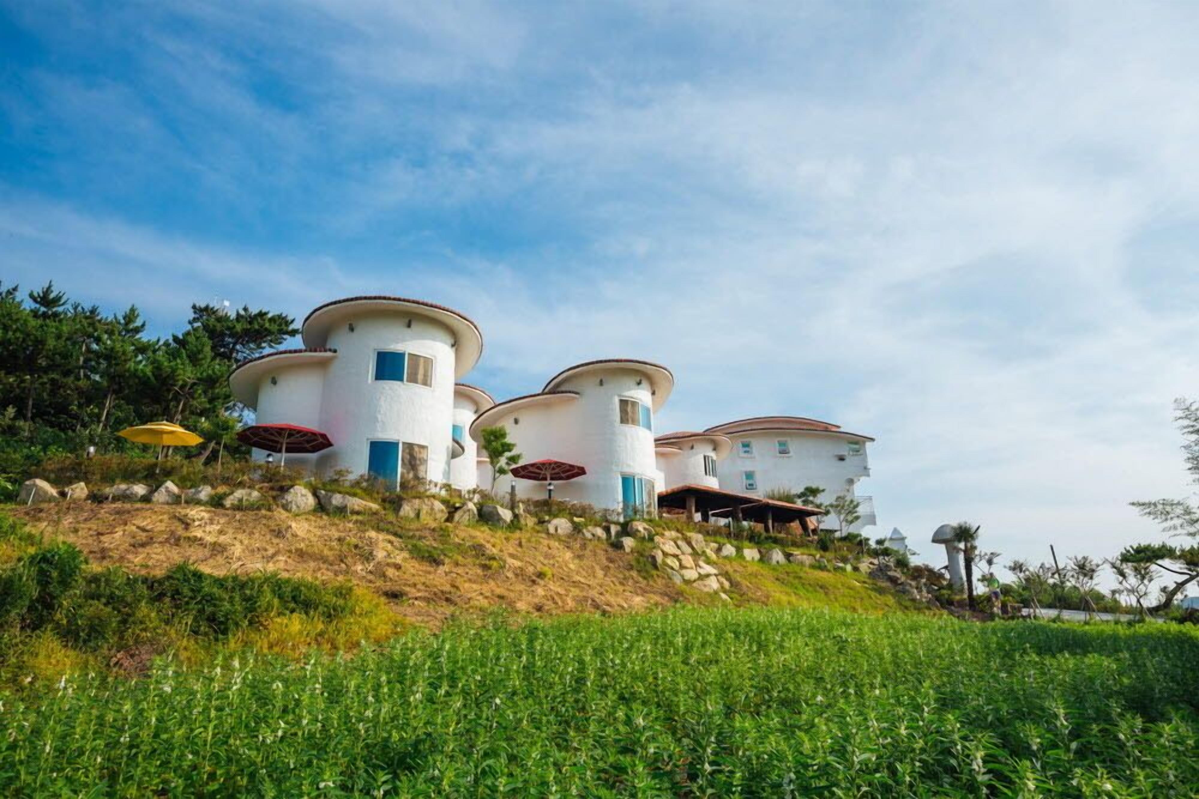 A modern, multi-story building with a unique cylindrical design, situated on a hillside with lush greenery.