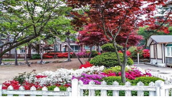 Exterior - Mirim Pension (Incheon)