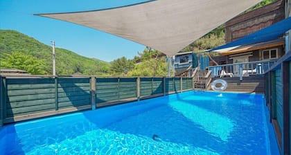 Iris Pension
