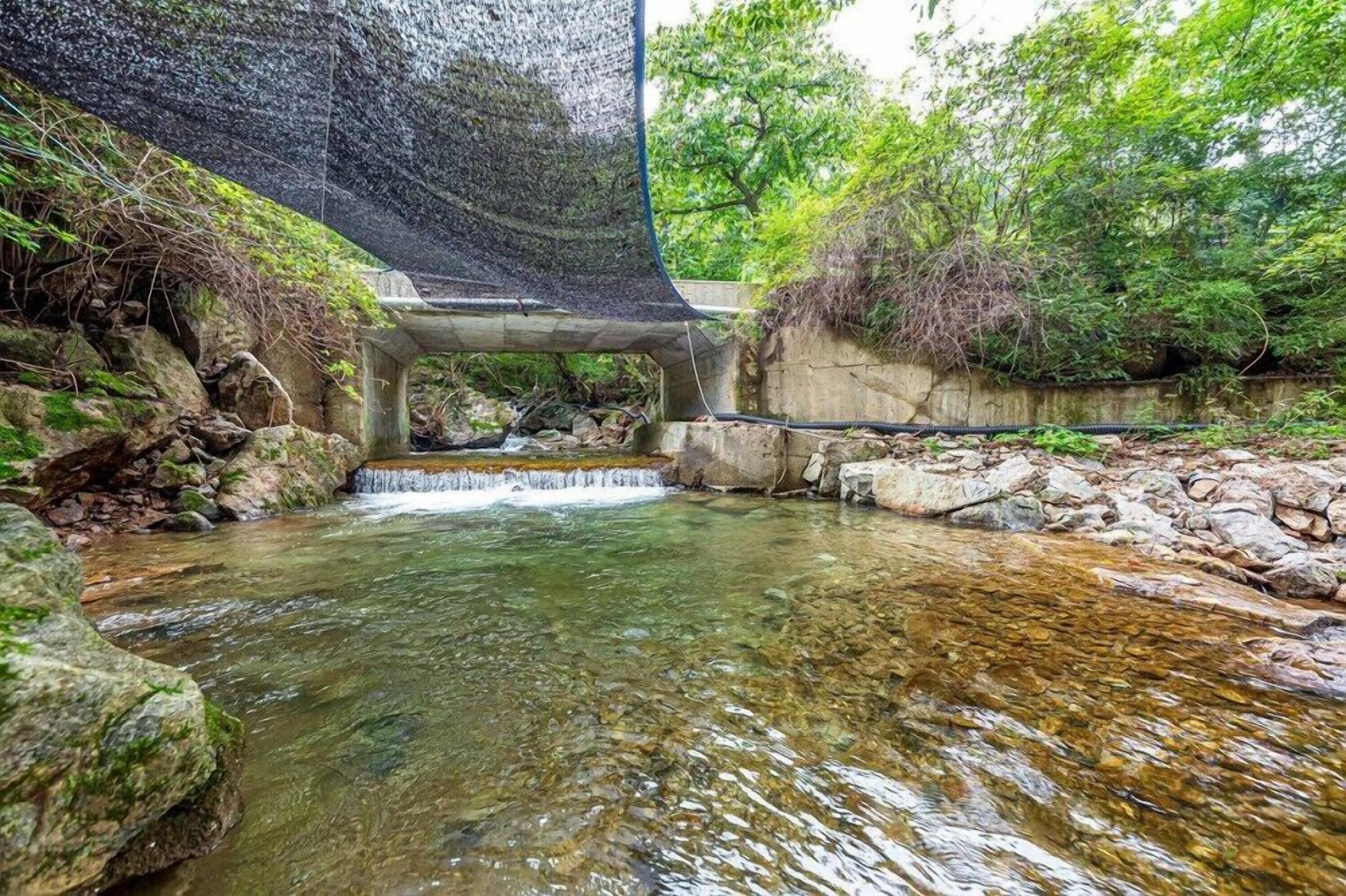 A clear stream flowing under a bridge, surrounded by rocks and greenery.