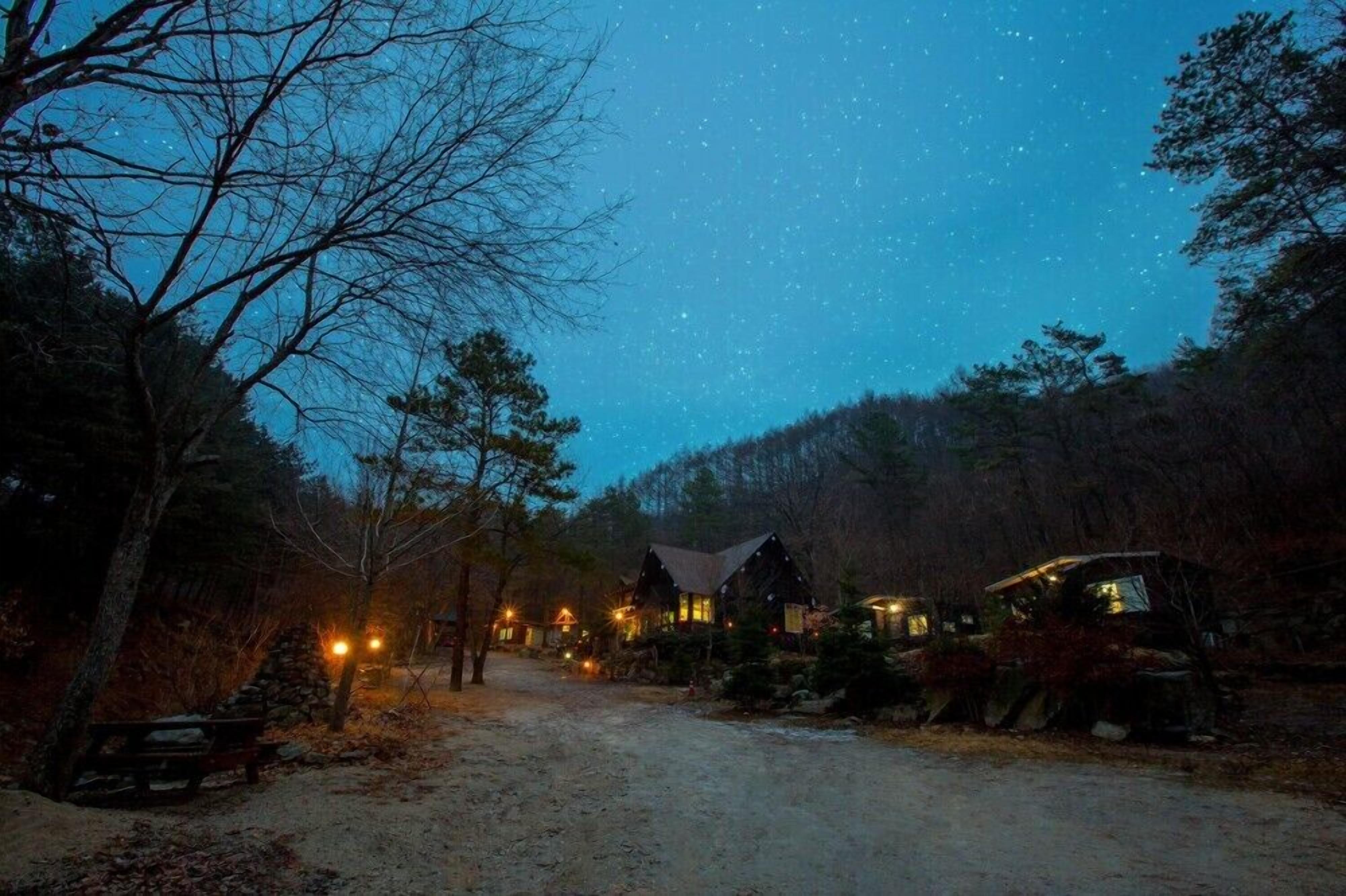 Una cabaña rústica con un sendero de tierra que la lleva hasta ella, rodeada de árboles y un cielo nocturno estrellado.