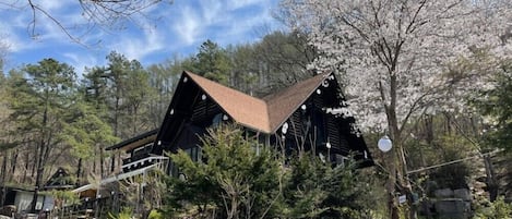 Un edificio in stile tradizionale giapponese con tetto spiovente, circondato da alberi e rocce.