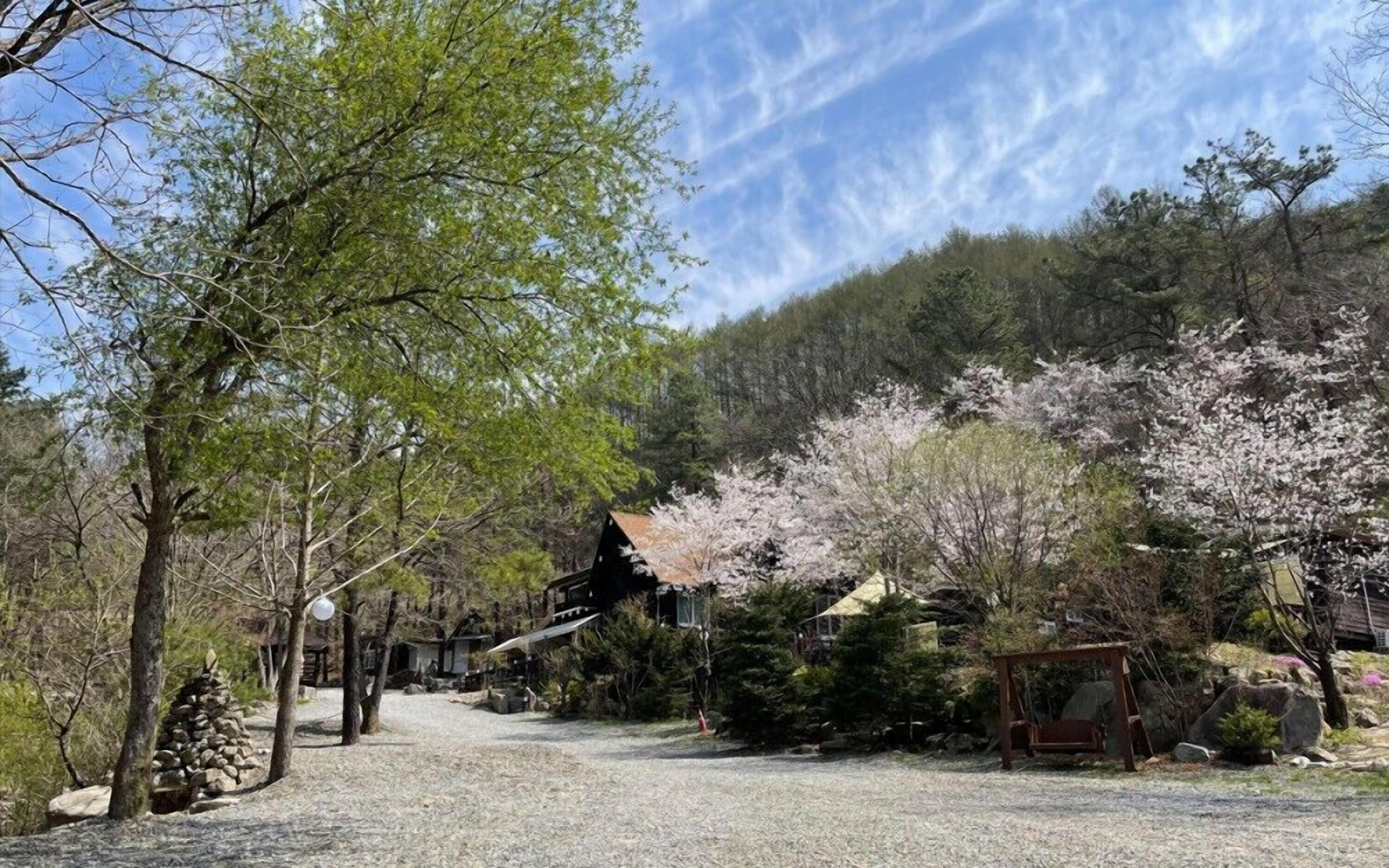 A rustic cabin with a gravel path leading to it, surrounded by trees and a mountainous backdrop.