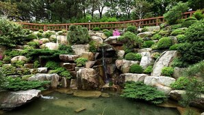 星評価なしの画像、5 / 63、ボタン