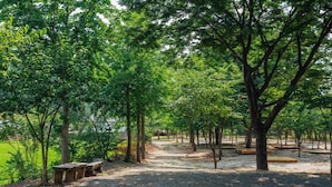 Unclassified image, 3 of 47, button - Bluewind Pension (Gapyeong)