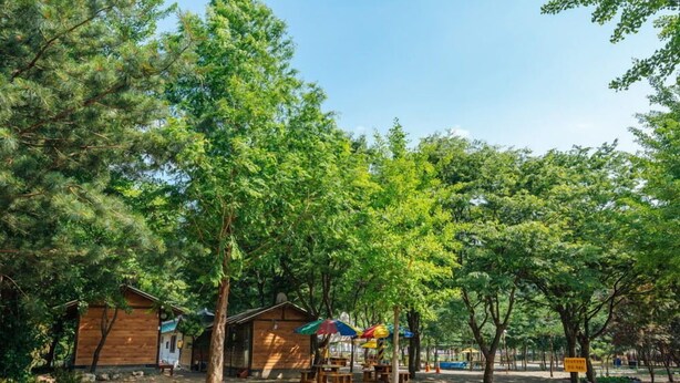 Unclassified image, 1 of 47, button - Bluewind Pension (Gapyeong)