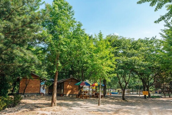 Exterior - Bluewind Pension (Gapyeong)