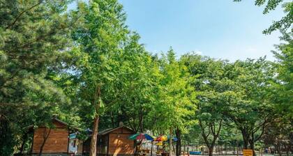 Bluewind Pension