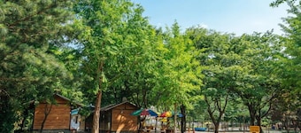 Bluewind Pension