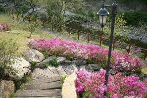 Exterior - Dvor Pension (Gapyeong)