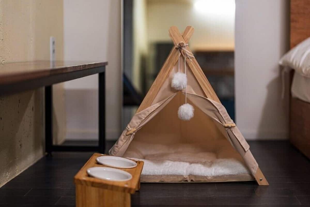 Decoración personalizada, muebles diferentes y wifi gratis