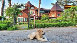 A dog lying on a gravel path in front of a large, rustic building with multiple chimneys and a birdhouse. - Castel on the hill pension (Hoengseong)