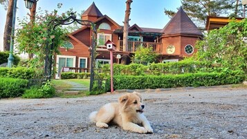 A dog lying on a gravel path in front of a large, rustic building with multiple chimneys and a birdhouse.