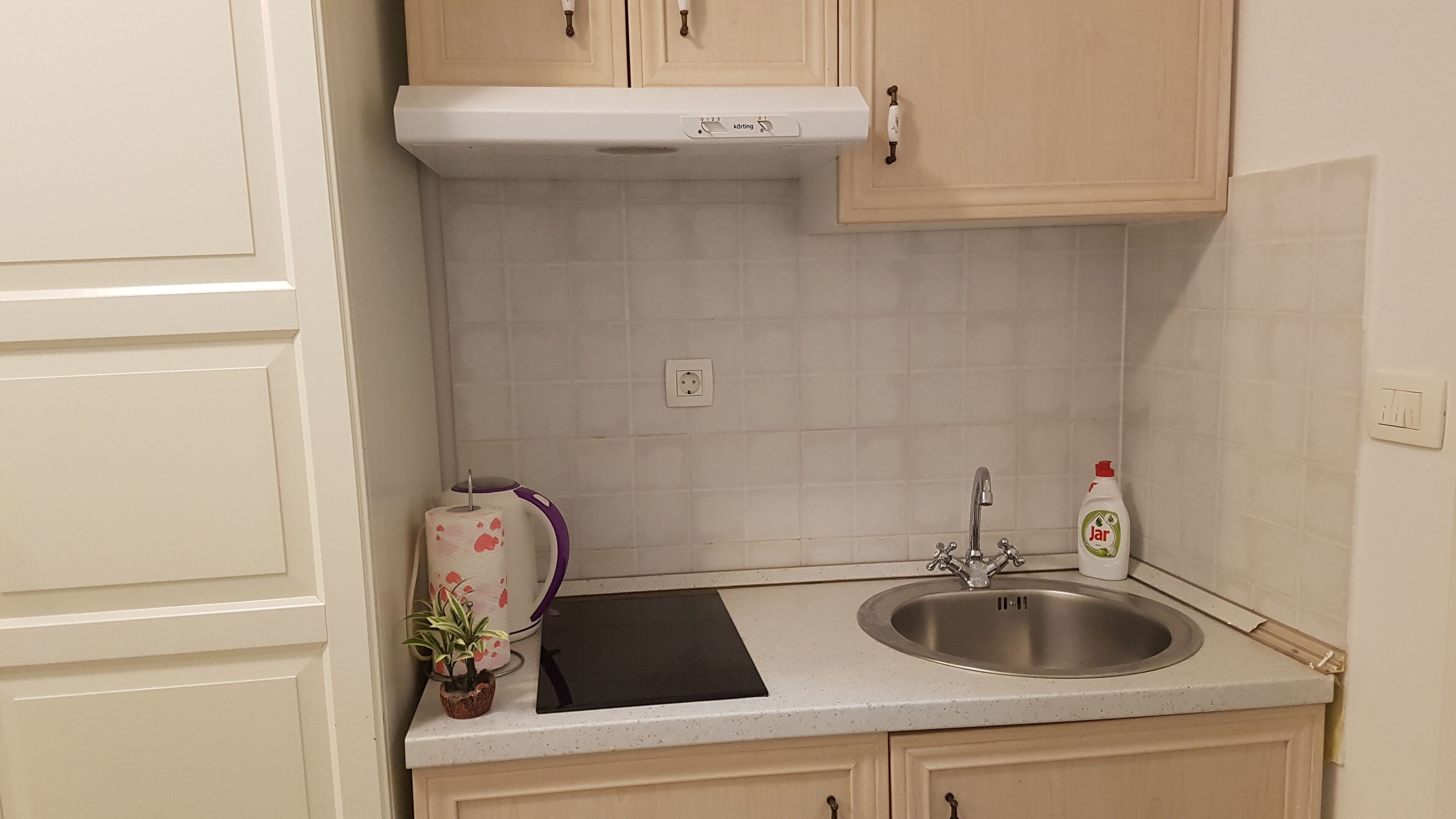Una cocina con un lavamanos de acero inoxidable, una tabla de cortar negra, un frasco de detergente y una planta en maceta.