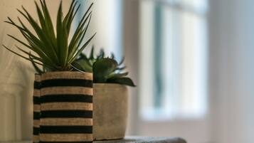 Une plante en pot, dont le pot est rayé, posée sur une surface en bois.