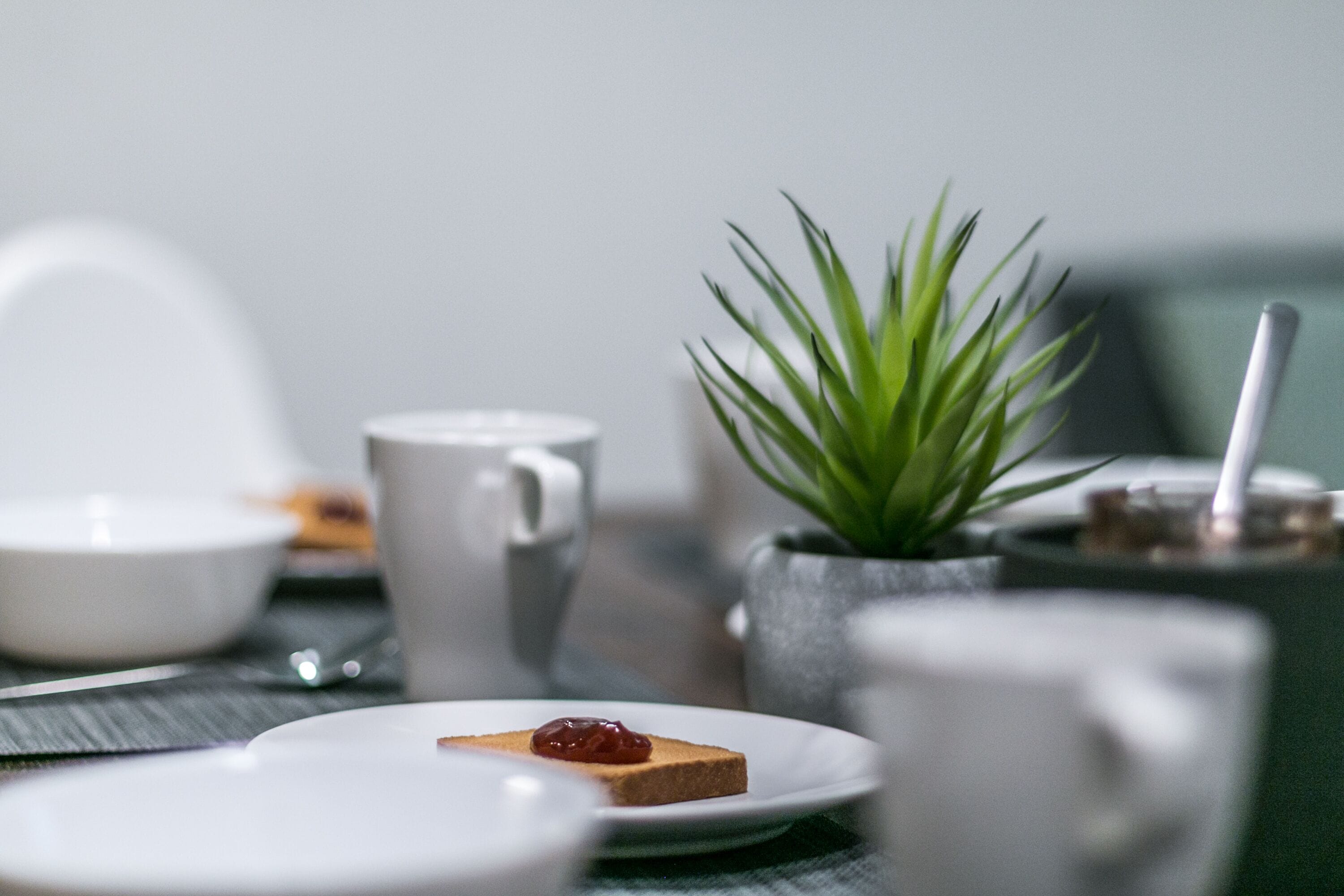 A breakfast setting with a plate of toast and jam, a white mug, a small potted plant, and a white teapot on a table.