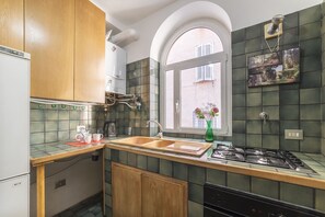 Apartamento, 1 quarto, terraço | Cozinha privada | Geladeira grande, fogão, cooktop, cafeteira/chaleira