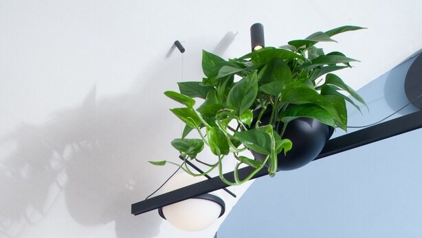 A modern kitchen with a sink, coffee maker, and a plant hanging above the counter. - Giùasud (Ostuni)