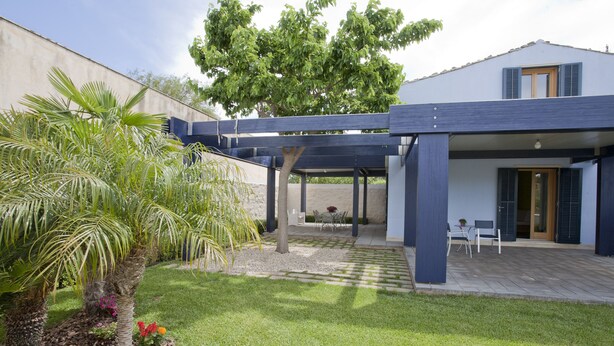 Un patio cubierto con una pérgola, una palmera y un jardín con flores moradas.