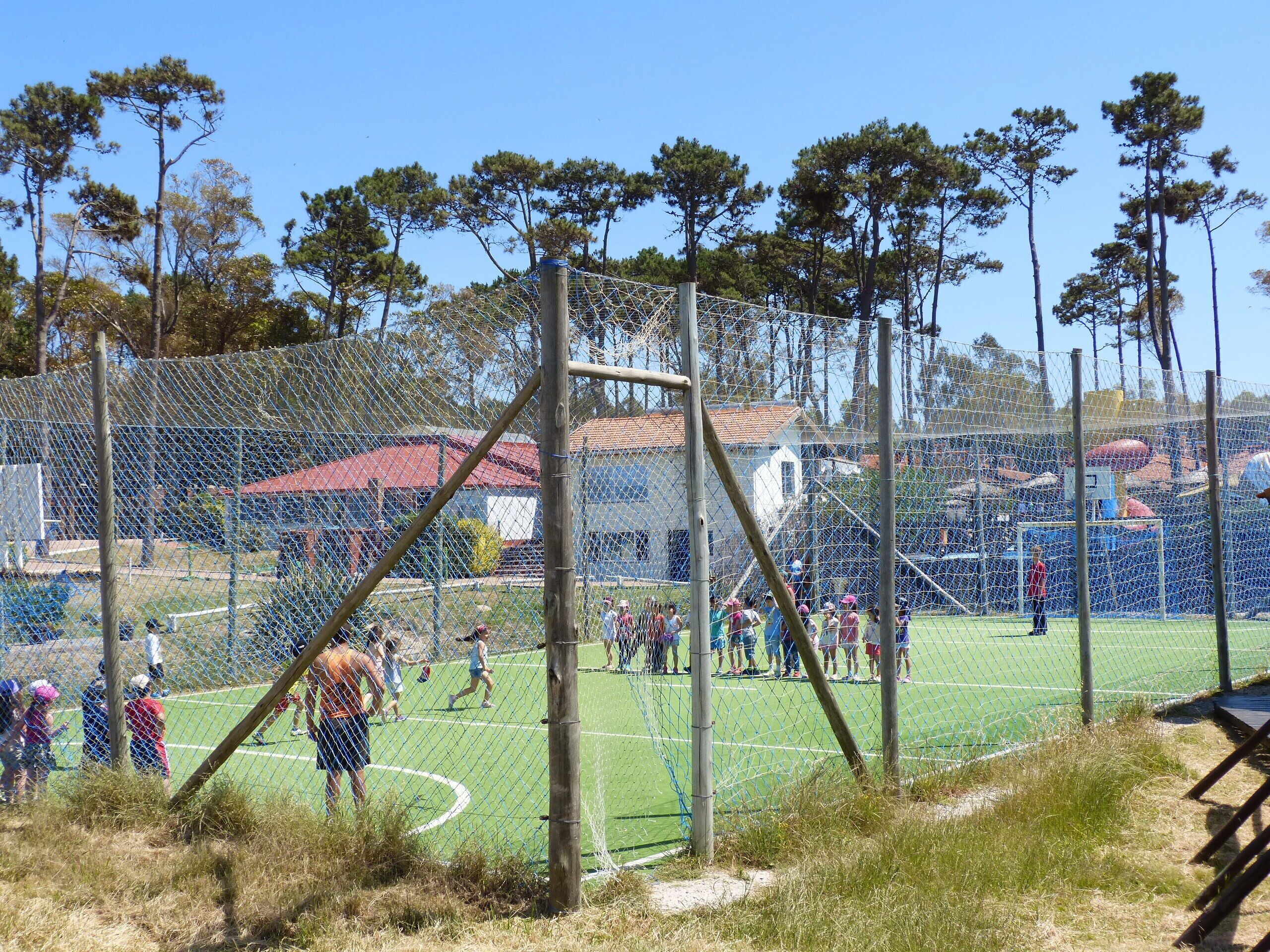 Ein eingezäunter Sportplatz mit einem Tor, umgeben von Bäumen und Gebäuden.