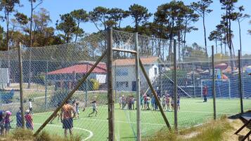 Ein eingezäunter Sportplatz mit einem Tor, umgeben von Bäumen und Gebäuden.