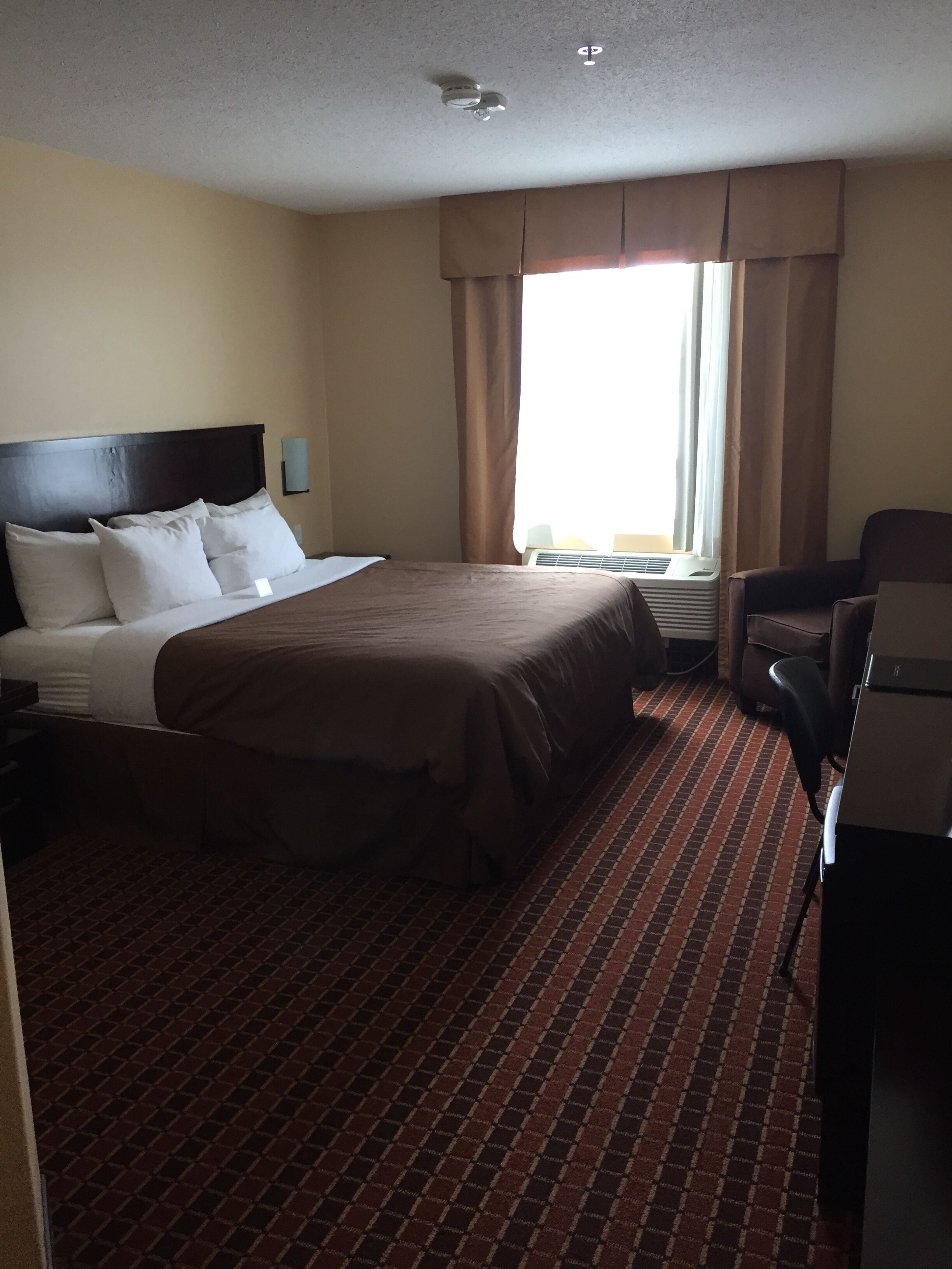 standard twin room | desk, laptop workspace, blackout curtains, soundproofing